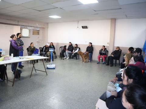 Nueva campaña de castración gratuita en barrio Las Playas