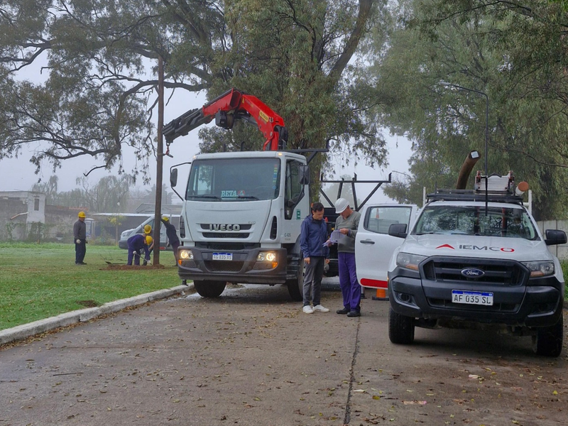Se ejecuta tendido eléctrico para familias del programa “Lo Tengo”