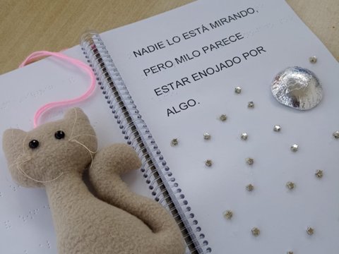 Día del Libro: la Biblioteca Mariano Moreno es parte del proyecto Dedos que Sueñan, que genera libros táctiles para público infantil con discapacidad visual