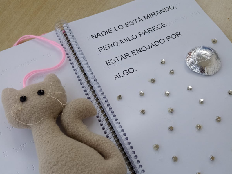 Día del Libro: la Biblioteca Mariano Moreno es parte del proyecto Dedos que Sueñan, que genera libros táctiles para público infantil con discapacidad visual