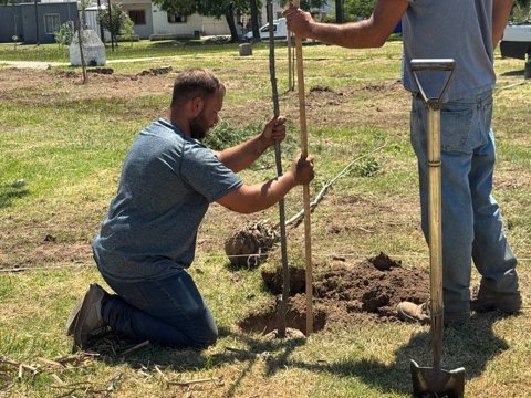 Villa María sumó más de 600 nuevos árboles