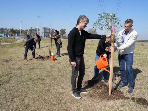 Espacios verdes: en la semana se plantaron más de 350 árboles