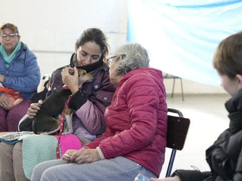 Comenzó la campaña de castración gratuita de mascotas en barrio Bello Horizonte