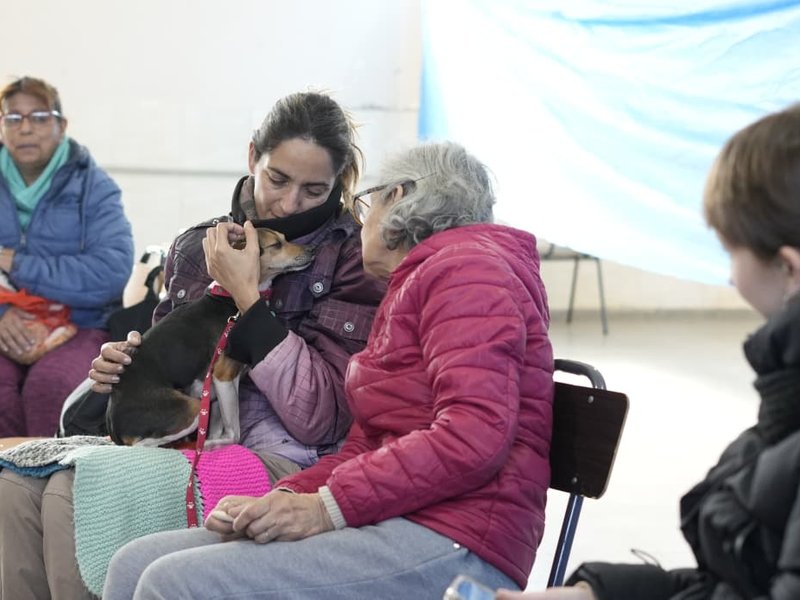 Comenzó la campaña de castración gratuita de mascotas en barrio Bello Horizonte
