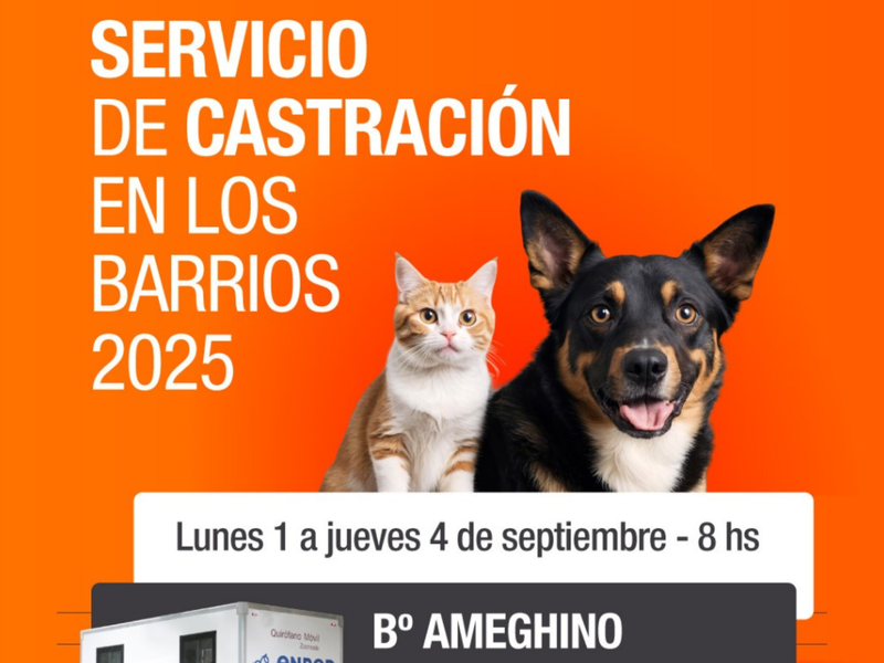 Continúa la campaña gratuita de castración en los barrios