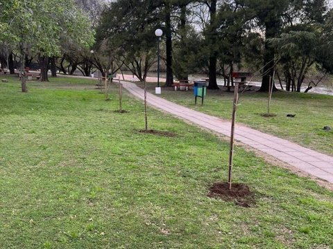 Villa María sumó nuevos ejemplares a su arbolado público