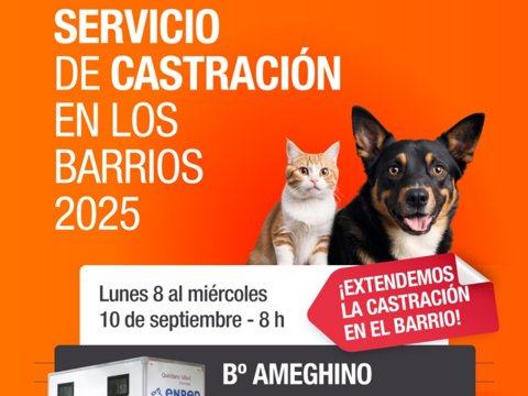 Barrio Ameghino: se extiende la campaña gratuita y descentralizada de castración