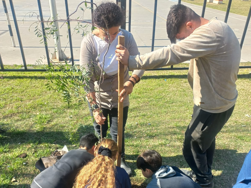 Estudiantes de la Escuela Sarmiento plantaron árboles en el barrio La Calera