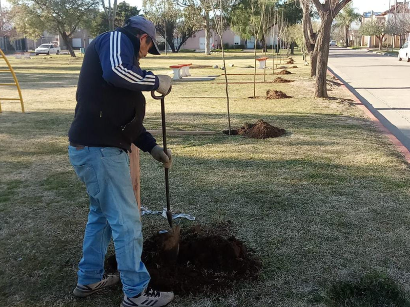 Se plantaron más de 270 árboles esta semana