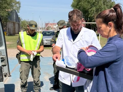 Se decomisaron cerca de 400 kg de carne no apta para consumo