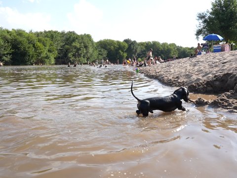 Verano Cuidado: recomendaciones generales para prevenir golpes de calor y el impacto de las altas temperaturas