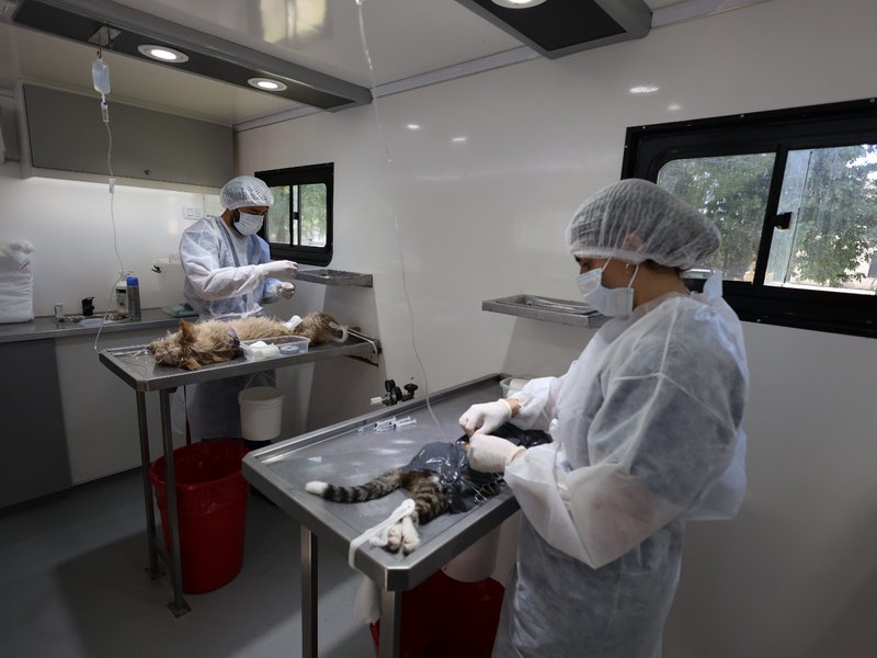 Continúa la campaña de castración gratuita de mascotas en el barrio Mariano Moreno