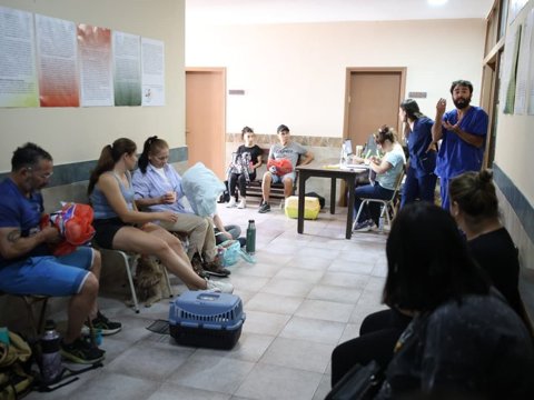 Continúa la campaña de castración gratuita de mascotas en el barrio Mariano Moreno