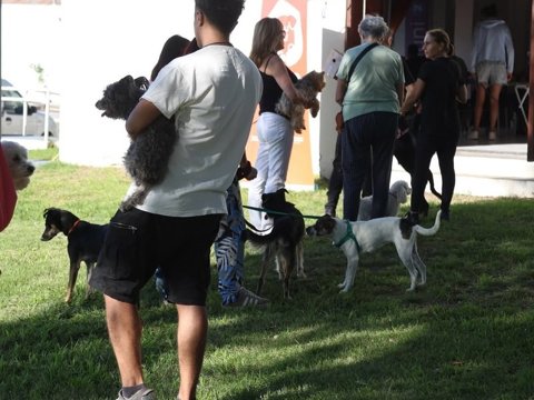 En la semana se colocaron casi 500 vacunas antirrábicas en el marco de la campaña gratuita que lleva adelante el municipio