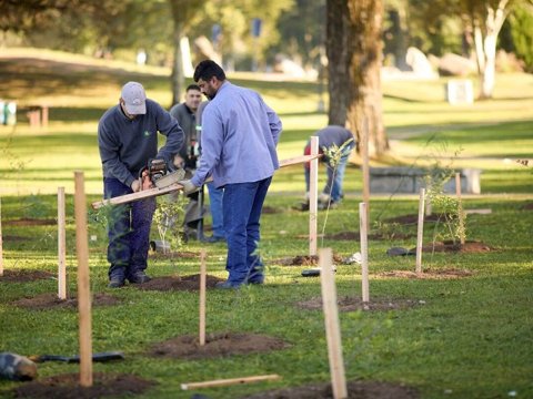 Villa María Más Amigable: el Municipio invita a participar de la jornada "Plantamos Futuro" en barrio Vista Verde