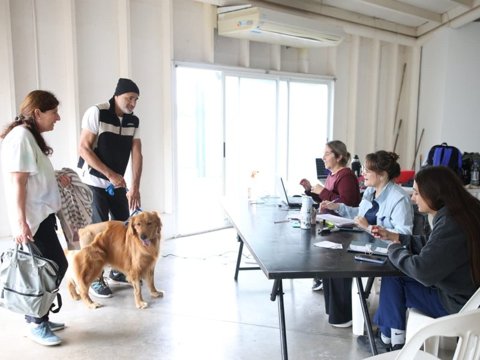 Se realizó una jornada de vacunación antirrábica en el anfiteatro