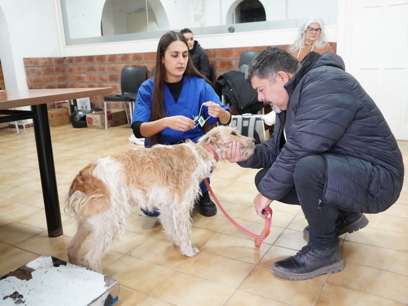 Municerca 2: finalizó una nueva etapa de castración y vacunación gratuita con más de 280 intervenciones en la última semana