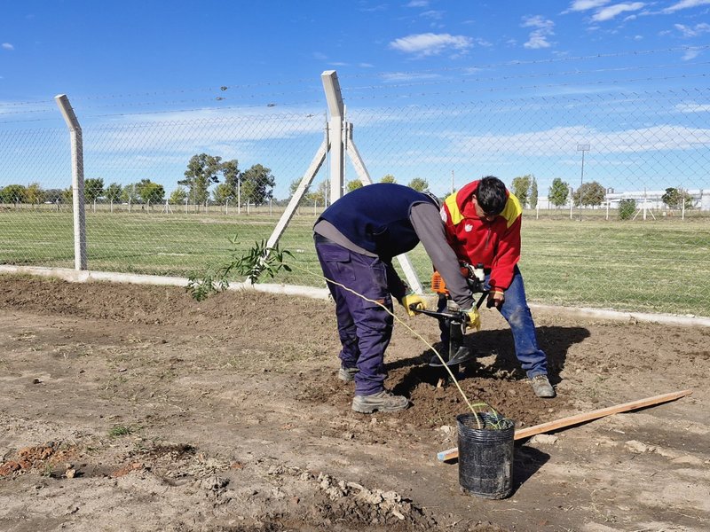 Se realizaron tareas de forestación en el nuevo predio San Lorenzo y Deportivo Las Playas