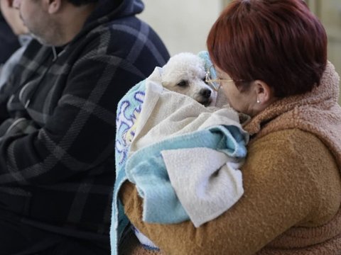 El Centro de Adopción Municipal realizó 279 castraciones durante julio
