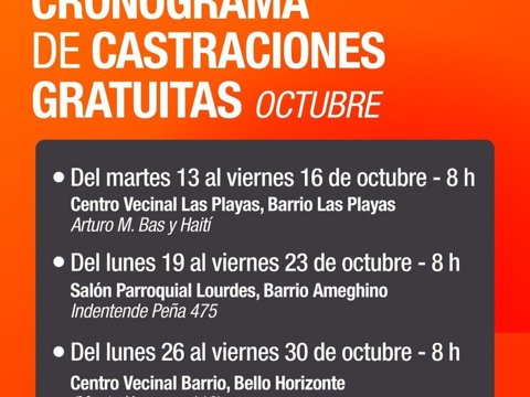 Continúan las castraciones gratuitas en los barrios durante octubre