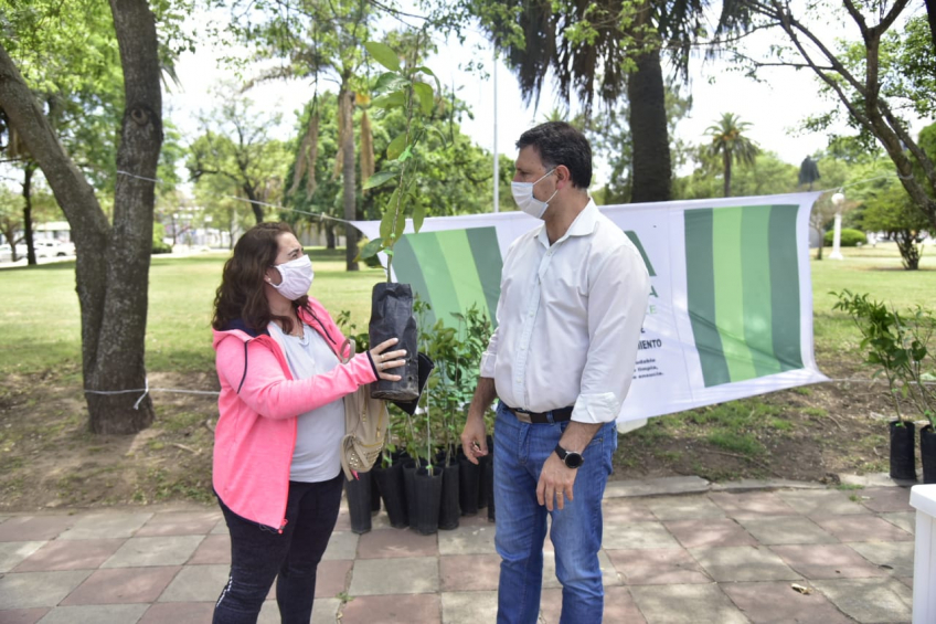 Villa María: Comenzó la entrega de 300 frutales cítricos a vecinas y vecinos que se inscribieron en la campaña de adopción de árboles
