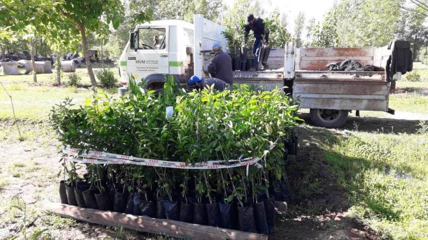 Villa María: Vecinos y vecinas podrán adoptar un árbol frutal para plantar en sus jardines