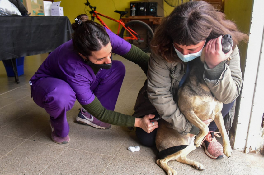 Villa María: Más de 1.000 perros y gatos fueron vacunados contra la rabia