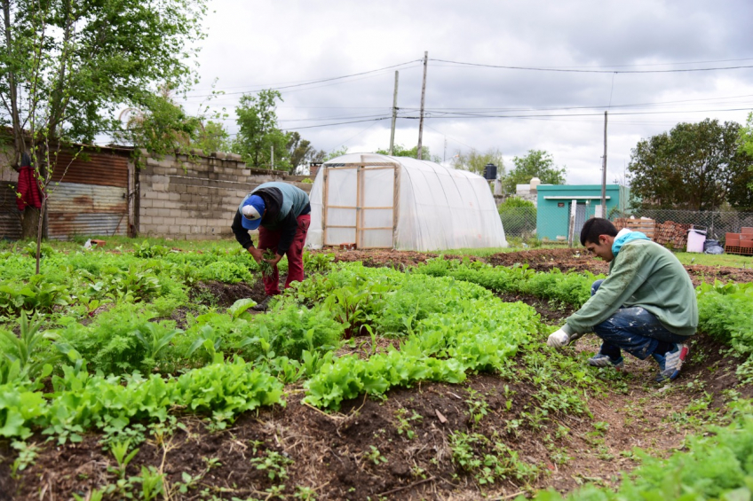 Villa María: Los chicos de la huerta de La Calera fortalecen la venta de hortalizas de estación y planifican incorporar producción de aromáticas y cactus