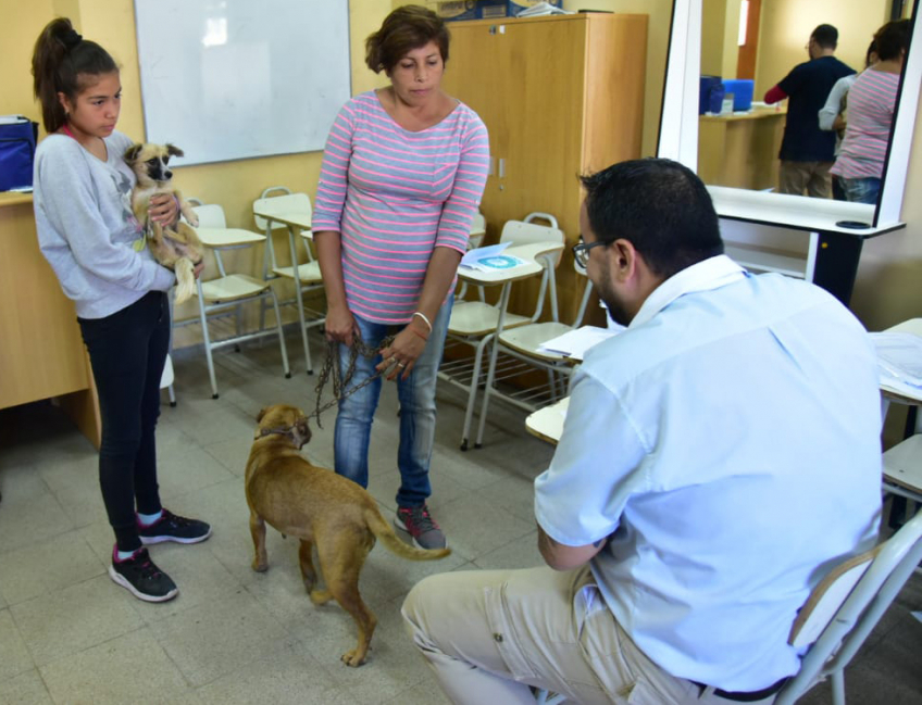 Villa María: Comenzó la vacunación antirrábica para perros y gatos con un cronograma que abarca todos los MuniCerca   