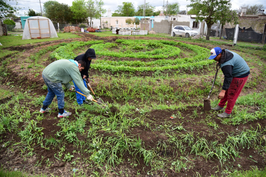 Villa María: En La Calera, un grupo de jóvenes encontró en la tierra su propio proyecto