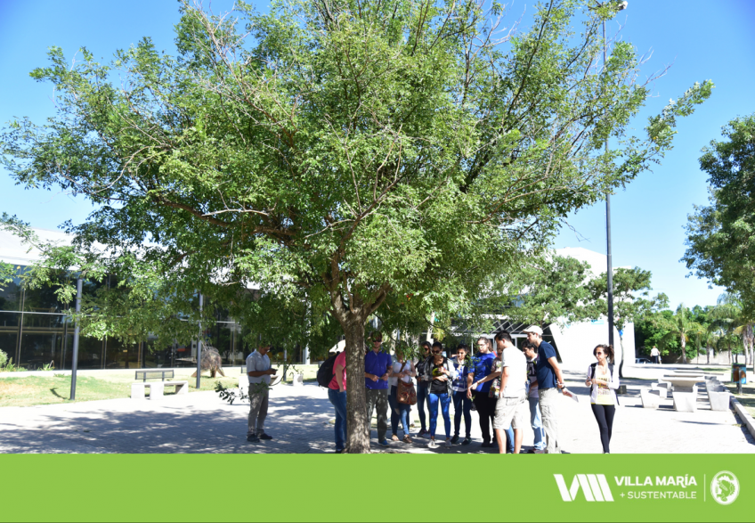 Villa María: Son 6.779 los árboles que crecen en las veredas ubicadas dentro de los cuatro bulevares